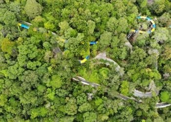 지구촌 화제- World’s new longest waterslide