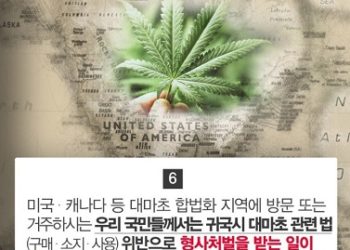 “해외에서도 대마초 절대 안 됩니다”