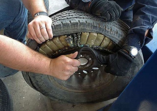 지성수 칼럼 – 시드니 스캔들 (제10화)