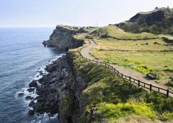 서울-제주 노선, 지난해에도 전 세계 최다 항공기 운항