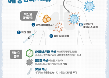 코로나19 백신의 예방원리와 종류!