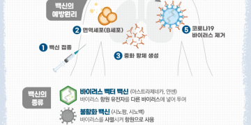 코로나19 백신의 예방원리와 종류!