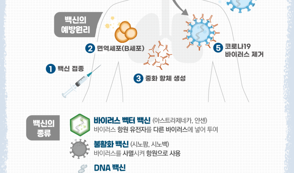 코로나19 백신의 예방원리와 종류!