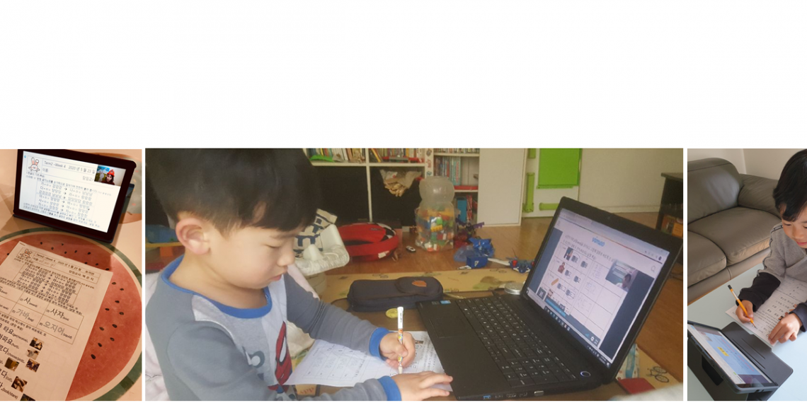 온라인수업 어떻게 씨를 뿌렸나