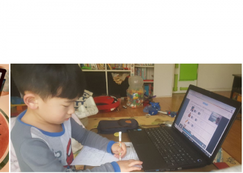 온라인수업 어떻게 씨를 뿌렸나