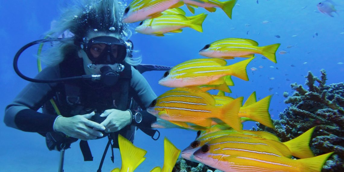 퀸즈랜드 지방 관광업계 취업하면 1500달러 지원금