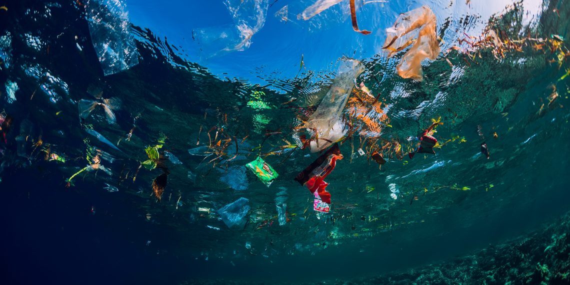 NSW 1회용 플라스틱 사용 2025년까지 절감