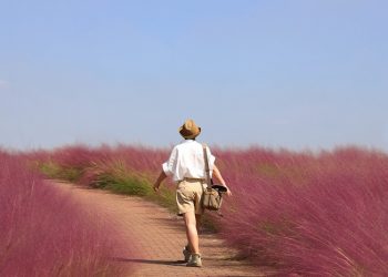 Travel and COVID-19… 2000년대 행복했던 여행의 기억