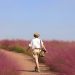 Travel and COVID-19… 2000년대 행복했던 여행의 기억