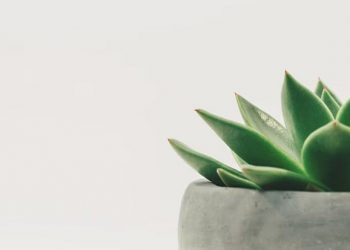 미니멀리즘과 웰빙… 삶에 필요한 물품의 ‘최소화’가 더 나은 이유는?