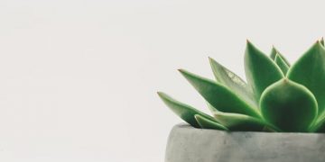 미니멀리즘과 웰빙… 삶에 필요한 물품의 ‘최소화’가 더 나은 이유는?