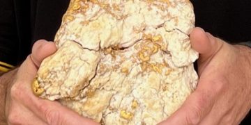 금 탐사자, VIC주 ‘골든 트라이앵글’ 지역서 2.6kg 금덩어리 ‘횡재’