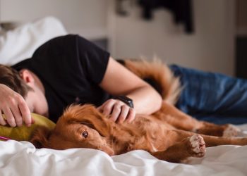 규칙적인 낮잠, 건강한 뇌의 핵심 될 수 있다?… 뇌 건강 관련 새 연구