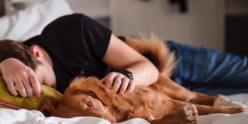 규칙적인 낮잠, 건강한 뇌의 핵심 될 수 있다?… 뇌 건강 관련 새 연구