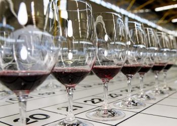 Sydney Royal Wine Show 2023… 국내외 전문가가 선택한 최고의 와인은