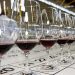 Sydney Royal Wine Show 2023… 국내외 전문가가 선택한 최고의 와인은