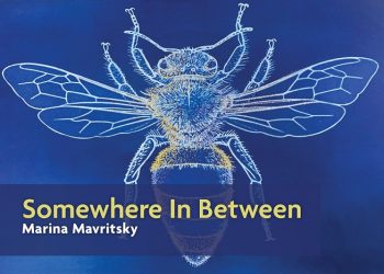 그림을 통해 보여주는 ‘좋은 것과 나쁜 것’ 사이의 양면성은…