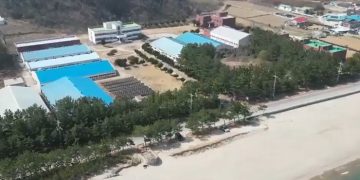 동포기업 ‘피다코’, 부동산 개발 이어 연어양식업으로 사업 확대