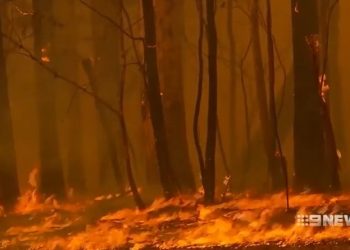 기후변화 관련 사망 증가… 관련 차트, ‘미래 여름의 끔찍한 예측’ 드러내