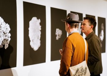 한국-호주 출신 작가 듀오, 한국문화원서 색다른 ‘환경’ 주제 전시 개최