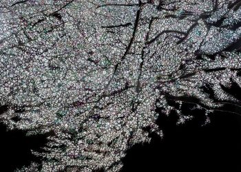 시드니 한국문화원, 전통 옻칠 예술의 아름다움-다채로움 선보인다