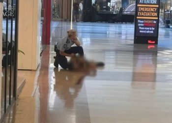 <종합 2보> 경찰, 웨스트필드 본다이정션 쇼핑센터 공격자 배경 조사