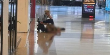 <종합 2보> 경찰, 웨스트필드 본다이정션 쇼핑센터 공격자 배경 조사