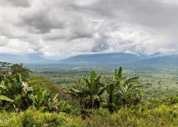 PNG ‘코코다 트랙’, 관리 부실로 여행자 46% 감소… 30년 이래 ‘최악’