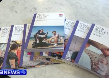 NSW budget 2024- 사회주택 부분의 사상 최대 규모 단일투자 계획