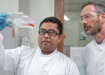 장 건강을 기반으로 파킨슨 병의 진행을 늦추거나 막는 것이 가능할까…