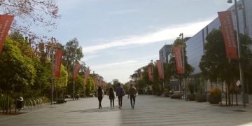 정부의 국제학생 등록 제한… 4개의 차트로 보는 호주 유학산업 상황은