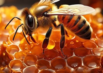 건강 정보- 레이델의 ‘비즈왁스알코올’, 지질 단백질에 대한 항산화 효과 연이어 입증