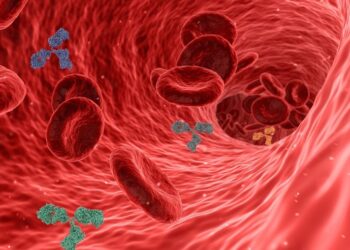 건강 정보- 고혈압 있다면? 혈관 막히고 터지기 전 ‘콜레스테롤’ 제거해야