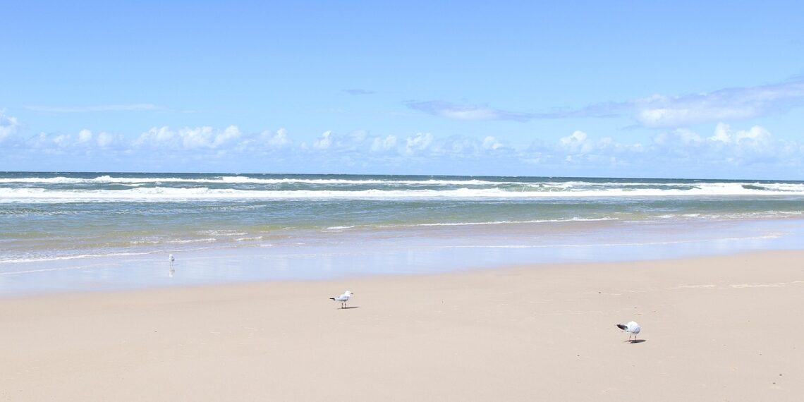 골드코스트, 이스터 전까지 정상운영 목표. 시장 “관광객 맞이할 준비할 것