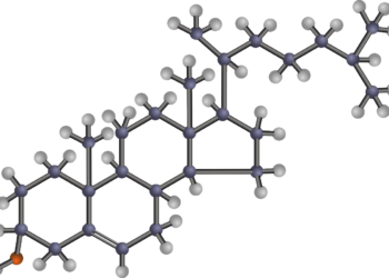 높은 혈압과 콜레스테롤이 당신의 수명을 훔친다.