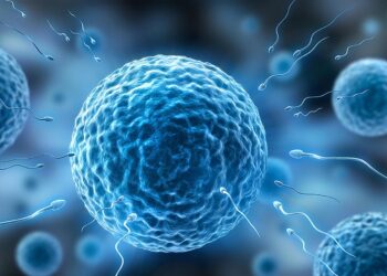 비혼여성,동성커플도 IVF 환급 가능. 연방 보건부 ‘불임’에 대한 정의 확대