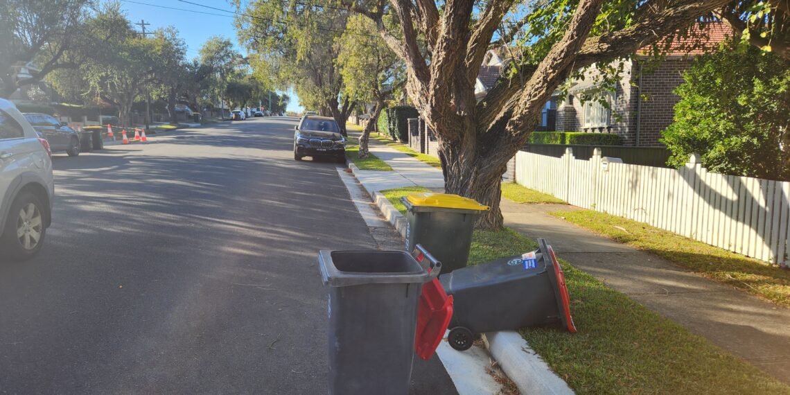 시드니 거리 쓰레기통 방치 문제, 질서 바로잡기 위해 허가제 도입 검토중