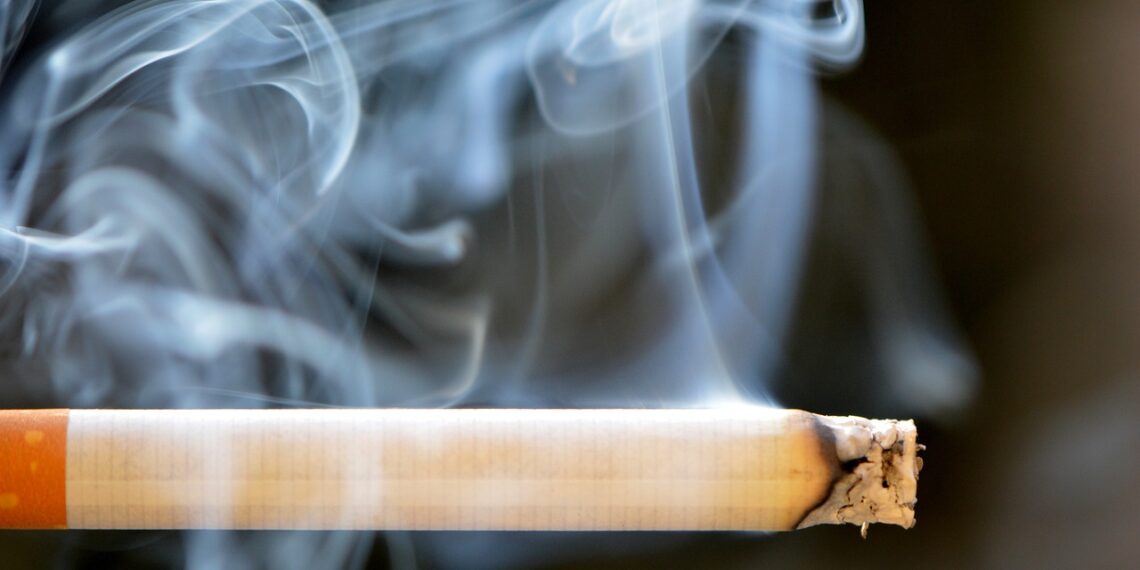 불법 담배 급증에 NSW 주총리 “담뱃세 낮춰야”