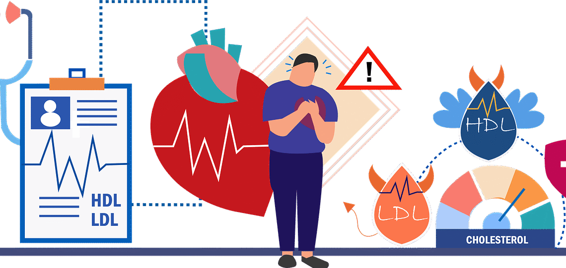 레이델 폴리코사놀, 장수인자HDL의 품질(항산화·항당화·항염증) 강화 확인