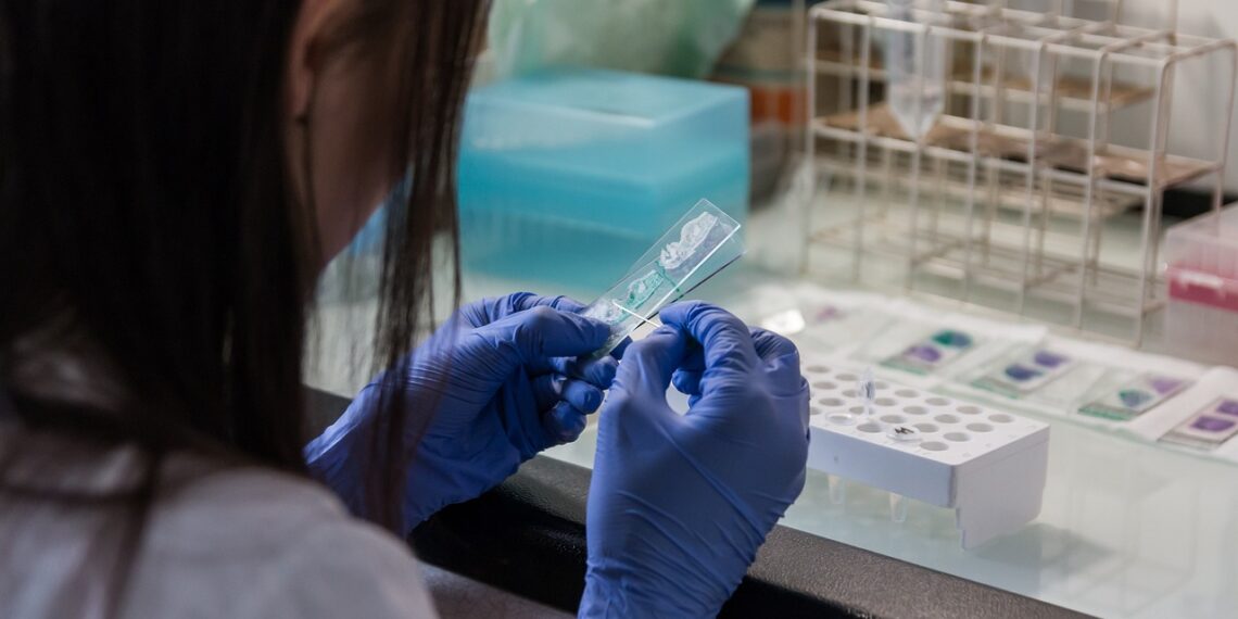 모나시IVF 멜번 병원서 또 배아 오류 발생. 환자에게 다른 배아 잘못 이식