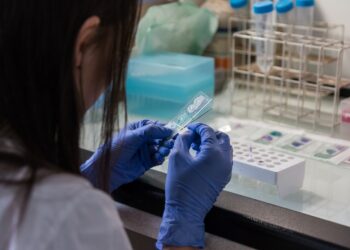 모나시IVF 멜번 병원서 또 배아 오류 발생. 환자에게 다른 배아 잘못 이식