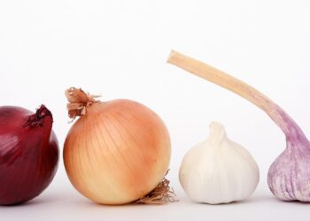 통증을 줄여주는 염증 잡는 10가지 식재료.주방에 이미 있는 식재료로 염증을 줄이고 회복 촉진