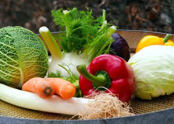 몸에 힘을 주는 비타민 가이드, 필수 영양소를 챙겨라