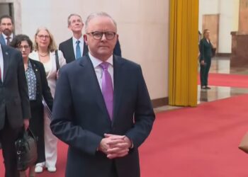 알바니즈, 시진핑과 정상회담. 국제 질서 속 안정과 협력 강조