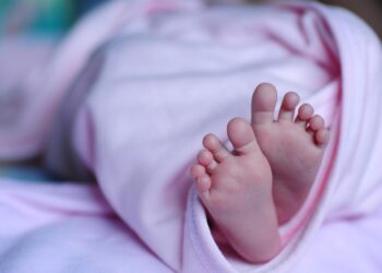호주 젊은 세대 “아이 낳을 여유 없어” 새 통계서 ‘출산 불황’ 경고음 커져