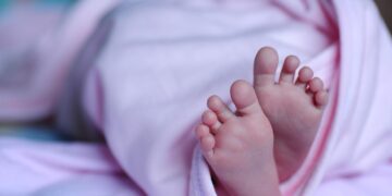 호주 젊은 세대 “아이 낳을 여유 없어” 새 통계서 ‘출산 불황’ 경고음 커져