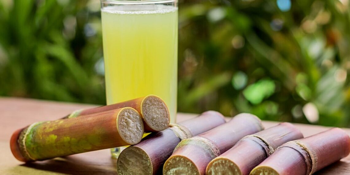 23건 인체적용시험 메타분석 결과, 혈압&콜레스테롤 조절 위해 먹는 ‘폴리코사놀’이 간수치도 개선한다