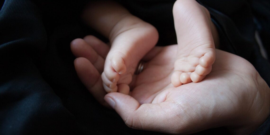 줄기세포 난자 배양으로 첫 임신 성공, 기존 IVF 대체 가능성 열어