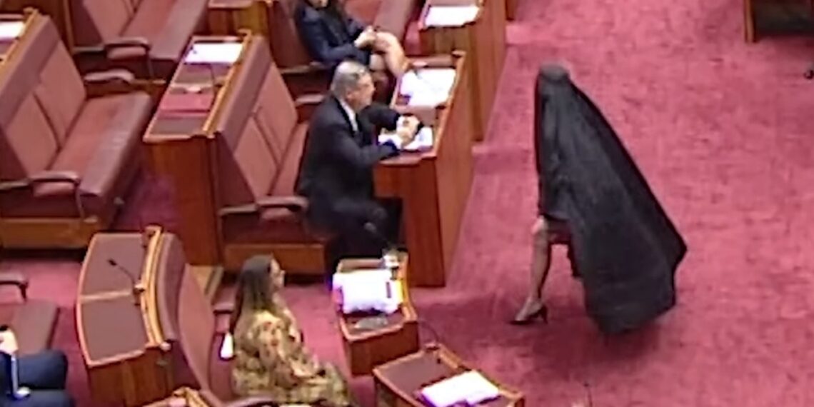 상원, 핸슨 부르카 논란으로 정회90분 중단… 정치적 파장 확산