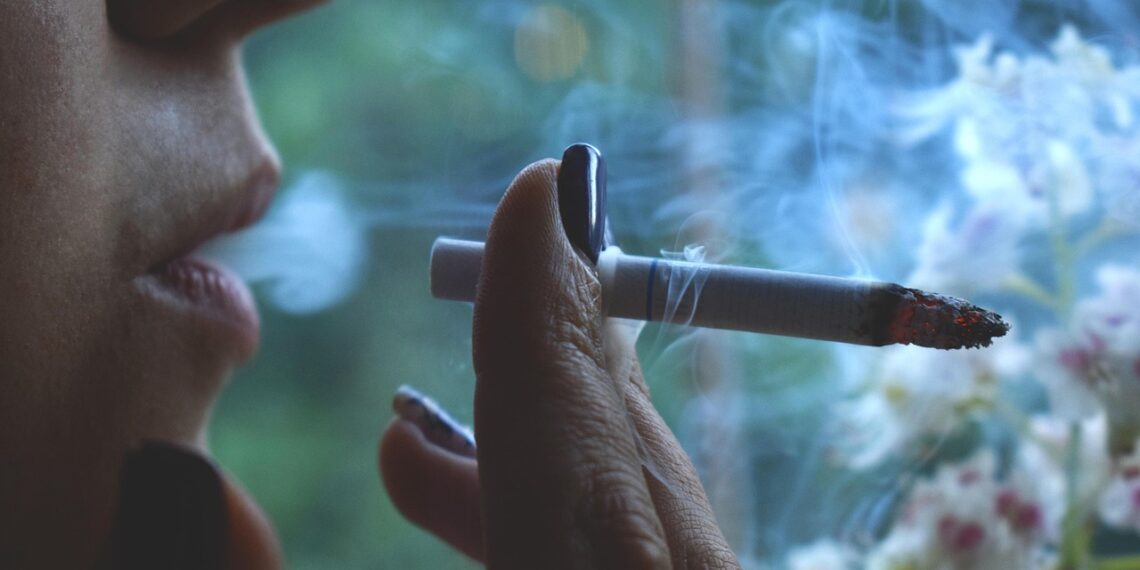 불법 담배시장 단속 강화에도 대규모 체납,영세 처벌 한계 노출